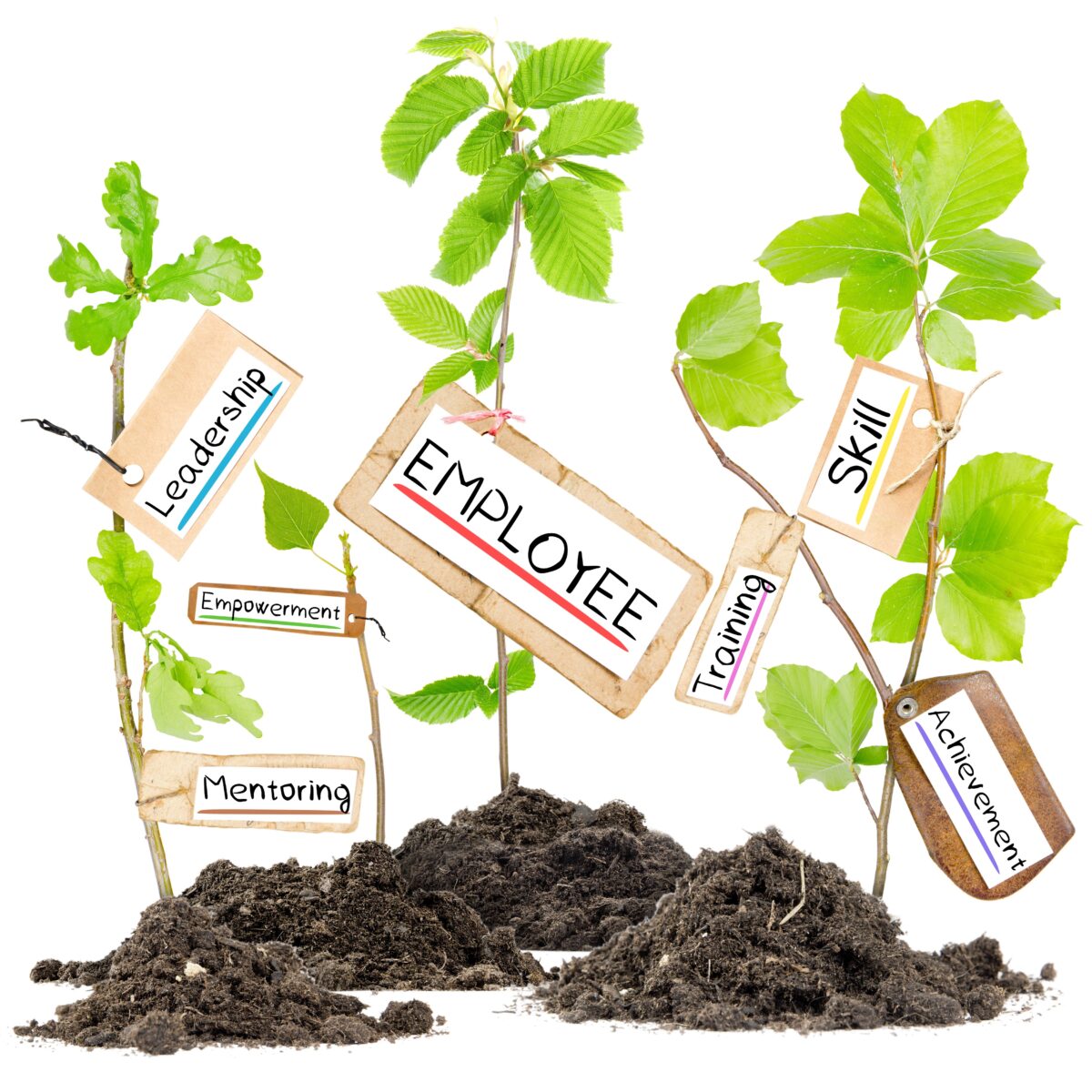 Photo,Of,Plants,Growing,From,Soil,Heaps,With,Employee,Conceptual
